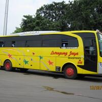 10-bus-malam-terbaik