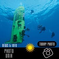 info-kecil-cameracoid