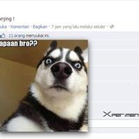 update-gambar-gambar-lucu-dari-meme-indonesia-100-ngocok-perut