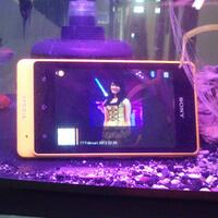 new-official-loungesony-xperia-go