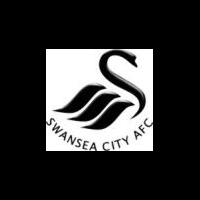 swansea-city--journey-in-europe-2013-2014--who-are-we-jack-army