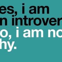 ane-introvert-haruskah-bisakah-jadi-extrovert
