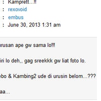 pembeli-sekarang-makin-konyol-ajapengen-bata-kayaknya