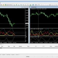 di-cari-ib-ik-trust-untuk-wilayah-indonesia