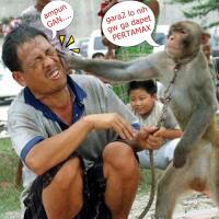 hidung-pesek-selamatkan-nyawa-makhluk-ini