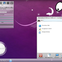 screenshot-tema-pc-28-juli-2013