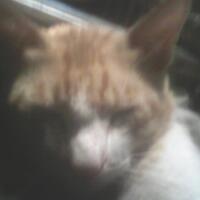 lounge-formil-darurat--repormasi-repolusi-repitalisasi---part-2