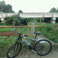 official-polygon-premier-all-series-users