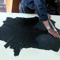 kreatif-membuat-case-gadget