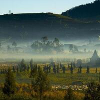 test-latihan-posting