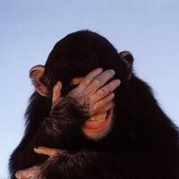 jk--pengumpulan-dana-pembangunan-masjid-ganggu-lalu-lintas