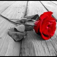 lounge-formil-darurat--repormasi-repolusi-repitalisasi---part-2