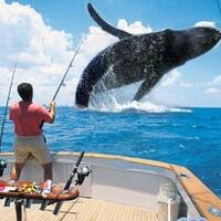 lounge-penghuni-kaskus-fishing-community