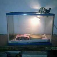 savannah-monitor-lovers-new-home