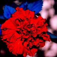 1769-official-thread-rks-photography-1769