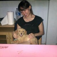 golden-retriever-owners-and-lovers---part-3