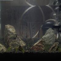 aquascape-for-everybody-learning-and-sharing