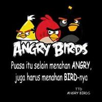 pesen-dari-angrybird-buat-aganquot-yg-puasa