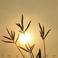 rumah-olympus---part-2