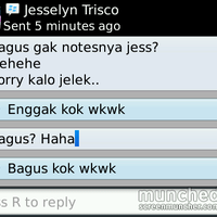 testimonial-seller-bedzz97-from-buyer