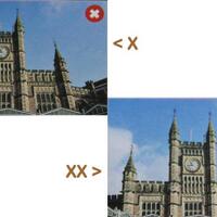 info-kecil-cameracoid