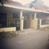 anjing-di-rumah-pelaku-mutilasi-di-benhil-berhasil-dievakuasi-tim-animal-defenders