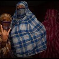 progressive-classic-server--parthia-ragnarok-online