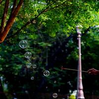 cafe-u--pengguna-panasonic