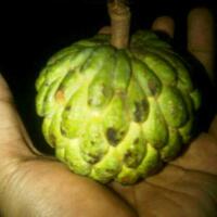 mengintip-restoran-sanji-one-piece-di-tokyo