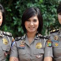 bima-satria-garuda-from-ishimori-pro