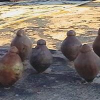 mainan-jaman-kita-kecil-dulu--lihat-ini-anda-akan-menangis