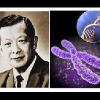 penemuan-penemuan-yang-ditemukan-oleh-ilmuwan-indonesia