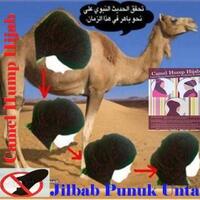 live-ngaskus--hijab-antara-kewajiban-dan-lifestyle