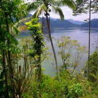 sharefoto-keren-hasil-jepretan-sendirimonggo-disimak