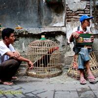 cafe-u--pengguna-panasonic---part-1