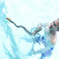 gtgt-test-percaya-dirimu-regeneration-ltlt