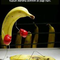 pengetahuan-ini-lah-sebab-kenapa-pisang-gampang-jadi-bonyok