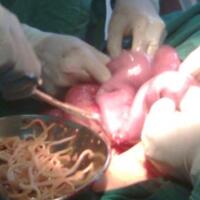 mie-ayam-porsi-dewa-jogja-only