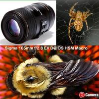 info-kecil-cameracoid