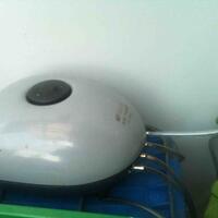 vegetable-lovers---official-thread---part-3