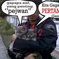 anak-kucing-telon-3-warna-pasti-dimakan-induknya