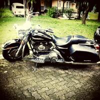 harley-davidson-lovers--enthusiast