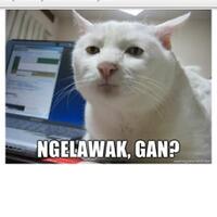 yang-dicari-cewek-pada-cowok-apa-ya-cewek-terutama-masuk-donk