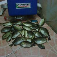 lounge-penghuni-kaskus-fishing-community---part-1