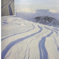 info-kecil-cameracoid