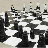 info-kecil-cameracoid