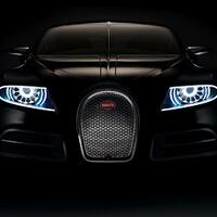 10-mobil-berdesain-karakter-wajah-hewan