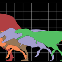 fakta-unik-tentang-t-rex-sang-pemakan-daging-dari-jaman-bahula