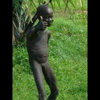 hati---hati-gan-burung---burung-eksotis-ini-beracun