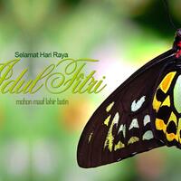 kisah-pertemuan-dan-kedekatan-para-kiai-dan-santri-dengan-nabiyullah-khidir-as